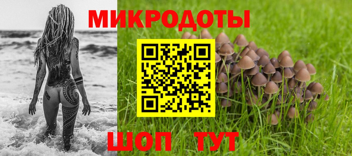 Псилоцибиновые грибы прущие грибы Видное