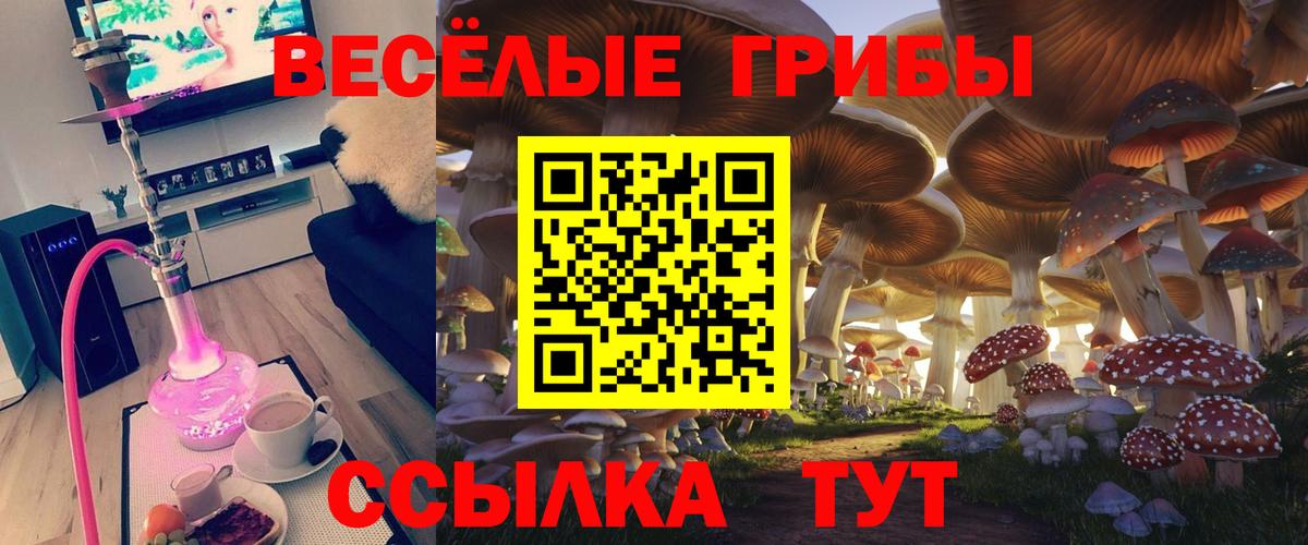 Псилоцибиновые грибы Psilocybine cubensis  Вход с VPN  Видное  Галлюциногенные грибы прущие грибы 